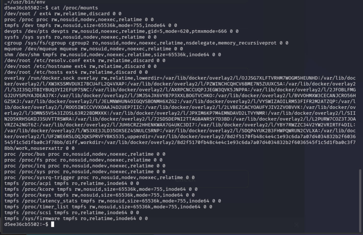 docker socket visible in mounts